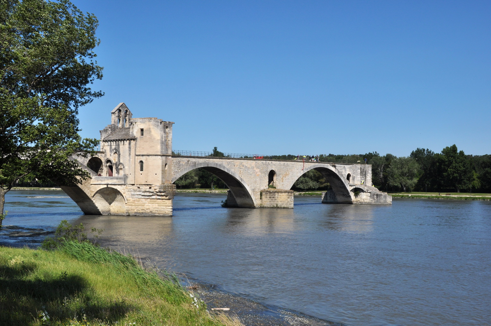Avignon